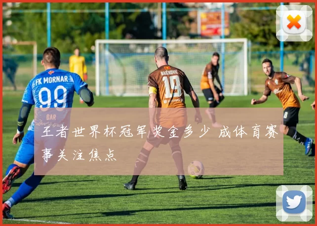 王者世界杯冠军奖金多少 成体育赛事关注焦点