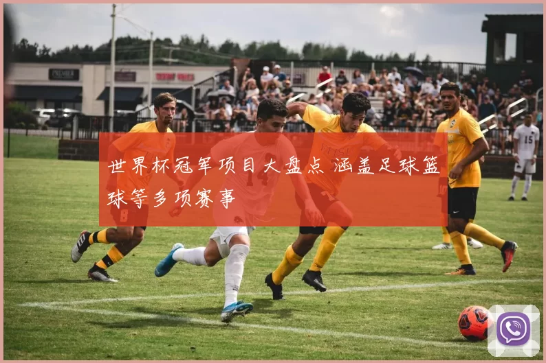 世界杯冠军项目大盘点 涵盖足球篮球等多项赛事