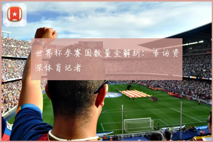 世界杯参赛国数量全解析：专访资深体育记者